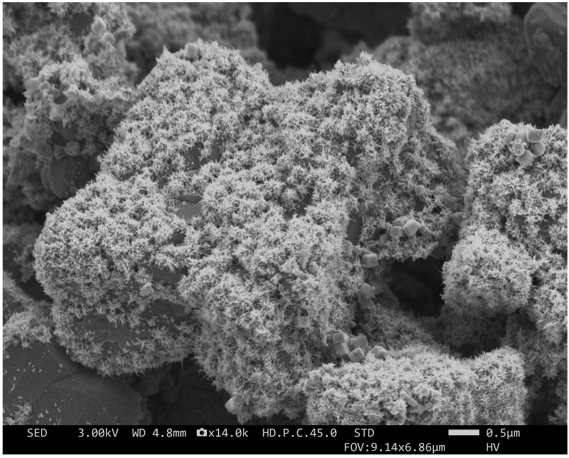 BiVO4 microparticle with gold nanostars