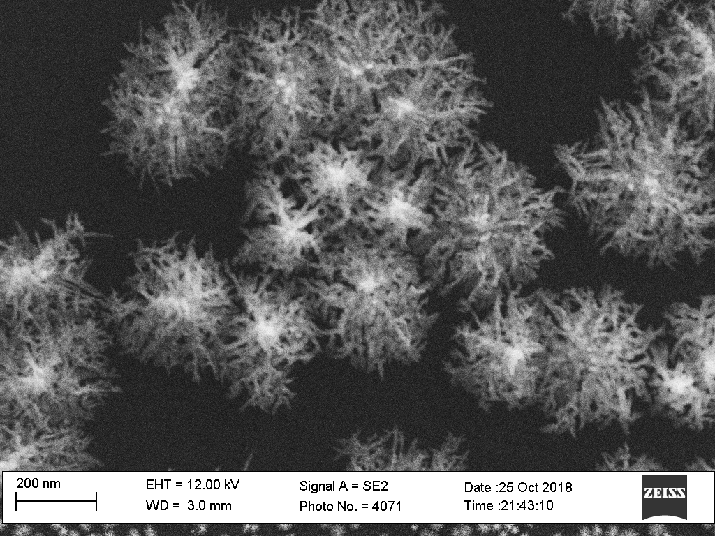 Dendritic gold nanoparticles grown on glass
