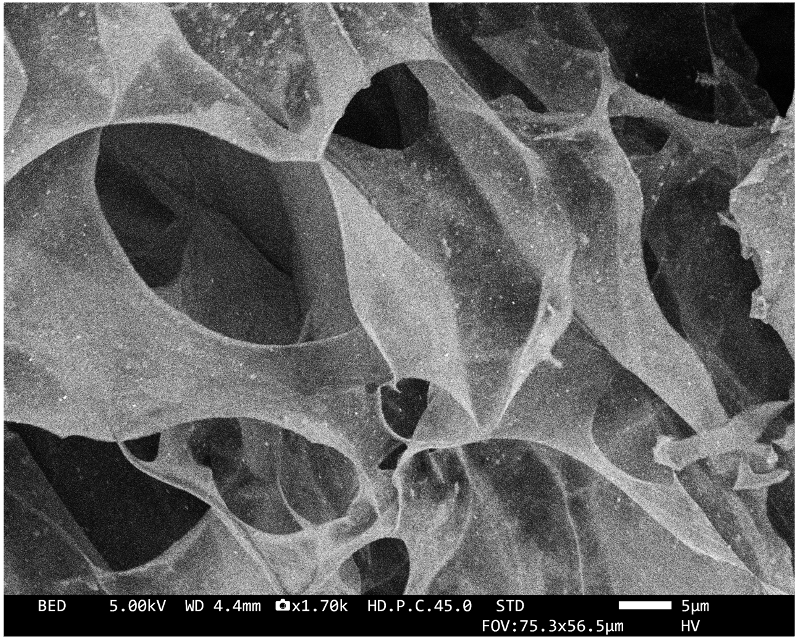 Hydrogel containing gold nanorods