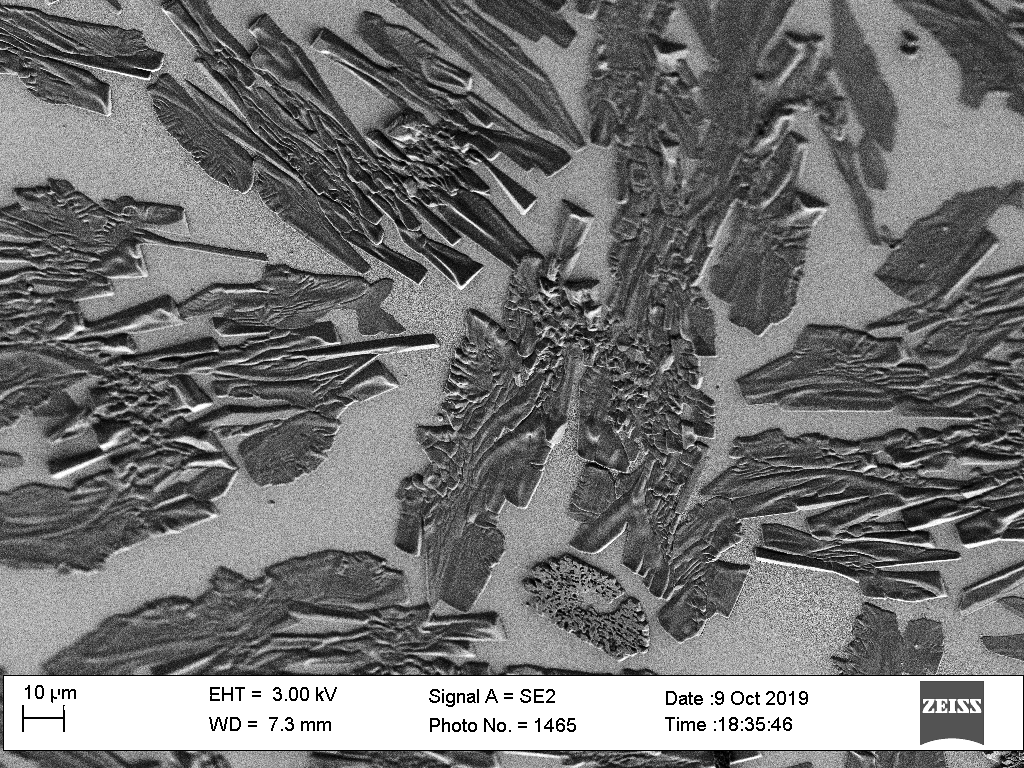 KCN crystals on a gold substrate