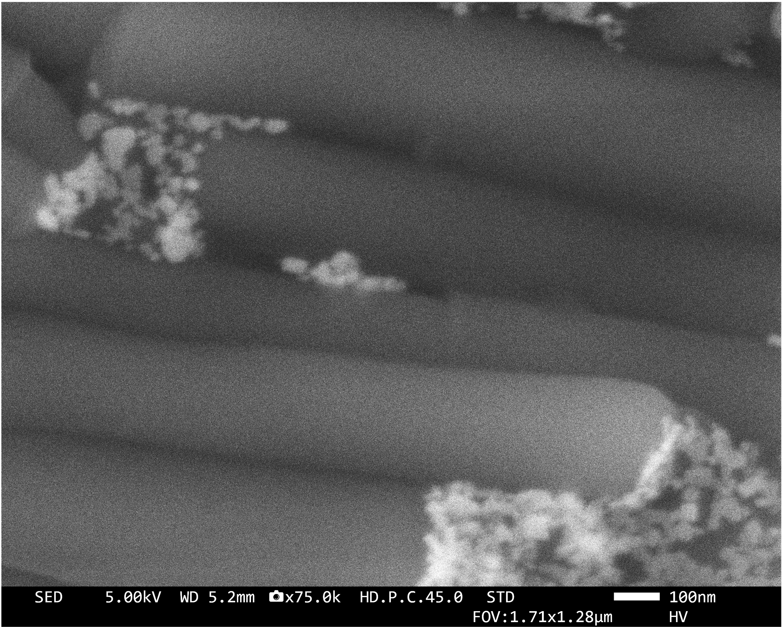 Perovskite nanocrystals on organic nanotubes close up