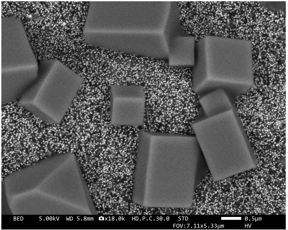 Salt crystals on gold nanostars