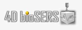 4DbioSERS research project
